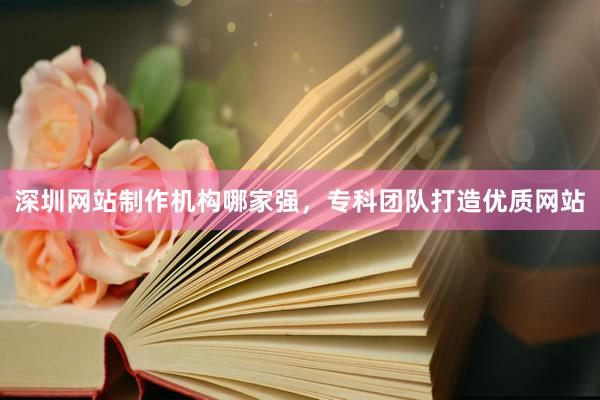 深圳网站制作机构哪家强,专科团队打造优质网站