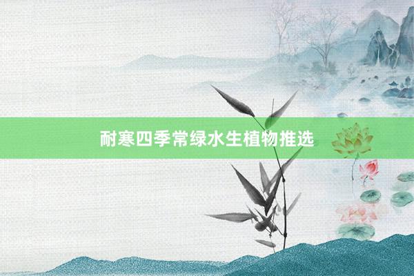 耐寒四季常绿水生植物推选