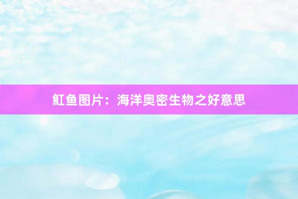 魟鱼图片:海洋奥密生物之好意思